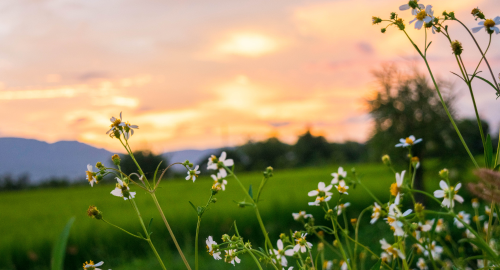 Ekologia, natura, przyroda, czyli tematy warte uwagi